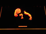 San Francisco 49ers Colin Kaepernick (2) LED Neon Sign USB - Orange - TheLedHeroes