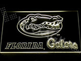 Florida Gators 2 LED Neon Sign Electrical - Yellow - TheLedHeroes