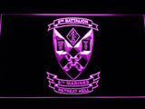 2nd Battalion 5th Marines LED Neon Sign Electrical - Purple - TheLedHeroes