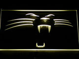 Carolina Panthers (2) LED Neon Sign USB - Yellow - TheLedHeroes