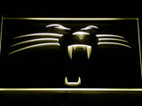 FREE Carolina Panthers (2) LED Sign - Yellow - TheLedHeroes