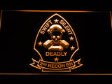 FREE 2nd Reconnaissance Battalion (USMC) LED Sign - Orange - TheLedHeroes