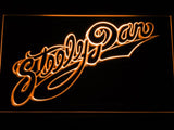 Steely Dan LED Neon Sign USB - Orange - TheLedHeroes