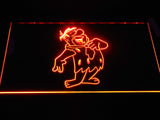 Flinstone LED Neon Sign USB - Orange - TheLedHeroes