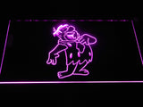 Flinstone LED Neon Sign USB - Purple - TheLedHeroes