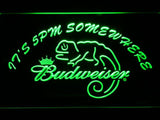 Budweiser Chameleon It's 5pm Somewhere LED Neon Sign USB -  - TheLedHeroes