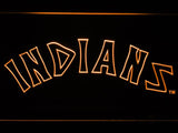 Cleveland Indians (12) LED Neon Sign Electrical - Orange - TheLedHeroes