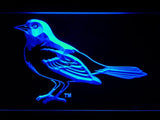 Baltimore Orioles (14) LED Neon Sign USB - Blue - TheLedHeroes