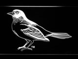 Baltimore Orioles (14) LED Neon Sign USB - White - TheLedHeroes
