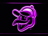 FREE Baltimore Orioles (21) LED Sign - Purple - TheLedHeroes