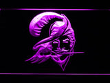 Tampa Bay Buccaneers (7) LED Neon Sign USB - Purple - TheLedHeroes
