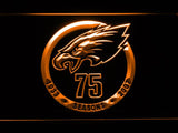 Philadelphia Eagles 75th Anniversary LED Neon Sign USB - Orange - TheLedHeroes
