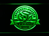 Houston Texans Inaugural Season 2002 LED Sign - Green - TheLedHeroes