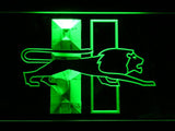 Detroit Lions (7) LED Neon Sign USB - Green - TheLedHeroes