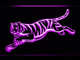 Cincinnati Bengals (7) LED Sign - Purple - TheLedHeroes