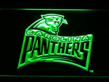 Carolina Panthers (6) LED Sign - Green - TheLedHeroes