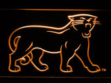 Carolina Panthers (7) LED Neon Sign USB - Orange - TheLedHeroes