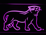 Carolina Panthers (7) LED Sign - Purple - TheLedHeroes
