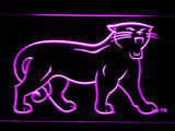 Carolina Panthers (7) LED Neon Sign USB - Purple - TheLedHeroes
