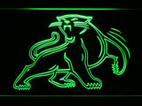 Carolina Panthers (8) LED Sign - Green - TheLedHeroes