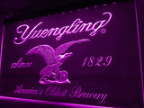 Yuengling LED Neon Sign Electrical - Purple - TheLedHeroes