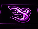 Utah Blaze LED Neon Sign USB - Purple - TheLedHeroes