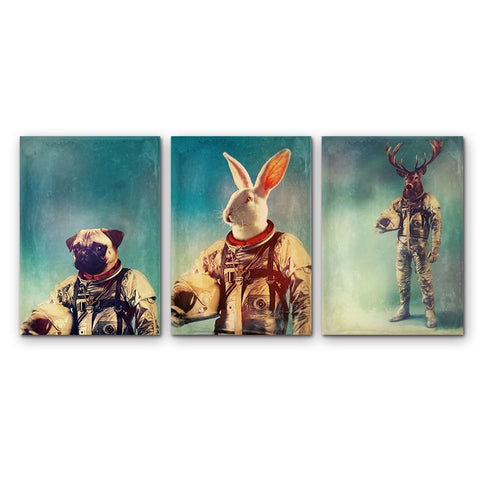 Astronaut Animals 3 Pcs Wall Canvas -  - TheLedHeroes