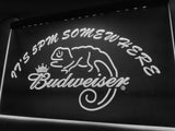Budweiser Chameleon It's 5pm Somewhere LED Neon Sign USB - White - TheLedHeroes