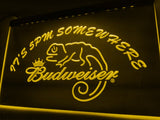 Budweiser Chameleon It's 5pm Somewhere LED Neon Sign USB - Yellow - TheLedHeroes
